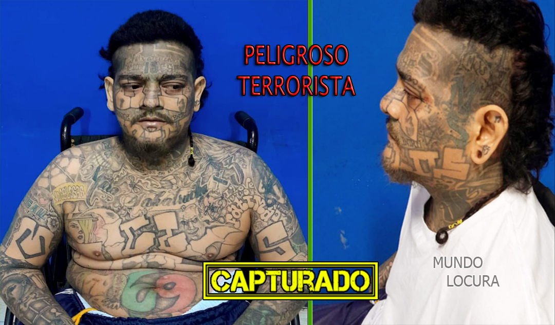 Capturan a peligroso terrorista y cabecilla de la MS13, Alias "Power" desde una silla ordenaba cometer graves crímenes en Ciudad Delgado y Mejicanos