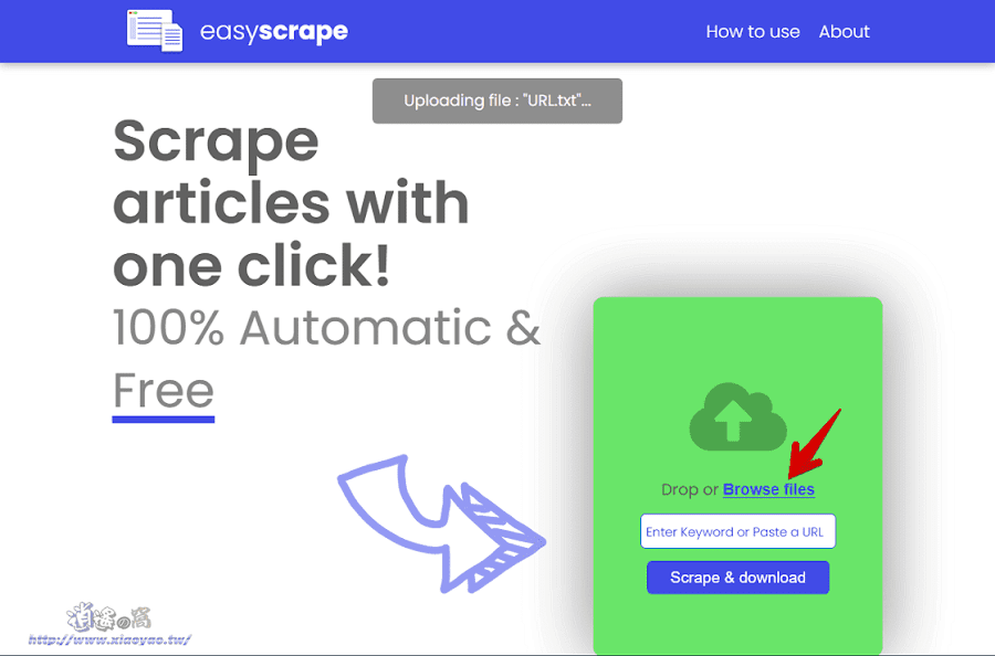 EasyScrape 一鍵下載網頁文章，儲存文字內容支援批量處理