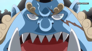 ワンピースアニメ WCI編 833話 ジンベエ | ONE PIECE ホールケーキアイランド編