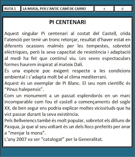 CIMS I COTES DEL BAIX PENEDÈS - BELLVEI AL CASTELL DE LA MUGA, corriol en direcció a La Muga, per l'antic camí de carro, Ruta-1, plafó informatiu del Pi Centenari