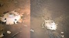 Structure of alien space ship found on Mars, NASA helicopter found it