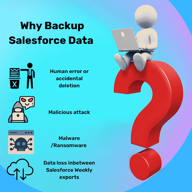 Salesforce data backup
