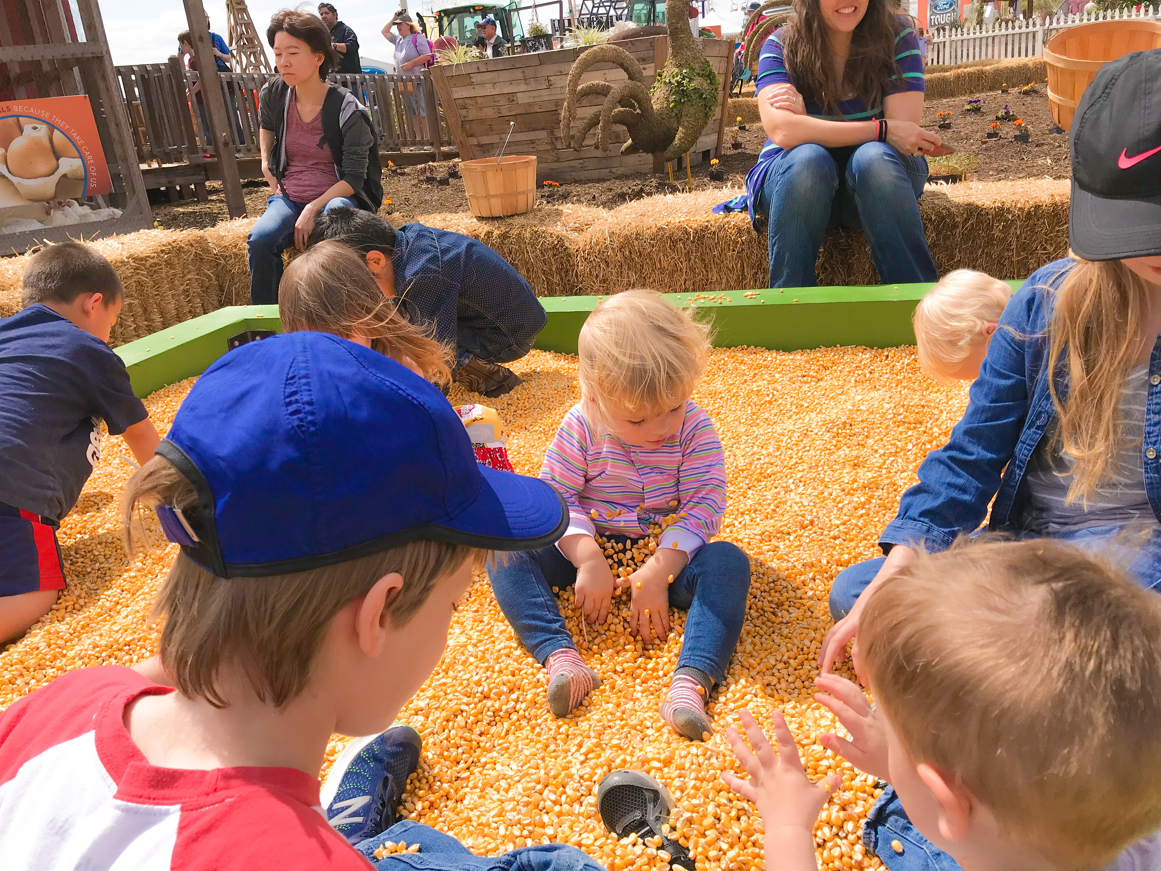 Fun On The Farm at the Rodeo Houston