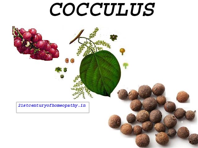 Cocculus, Cocculus indicus