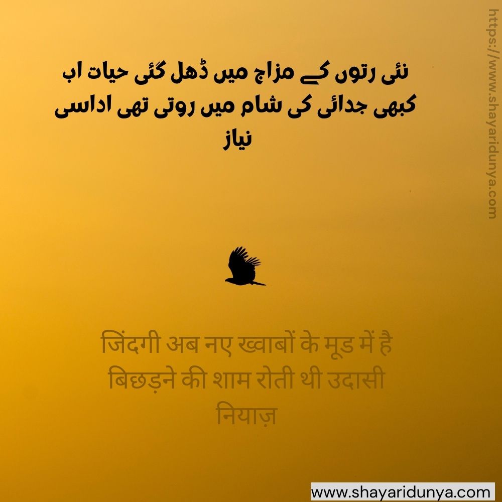 Poetry on Sham | sham poetry | Shaam Shayari | Udas sham | Poetry on evening