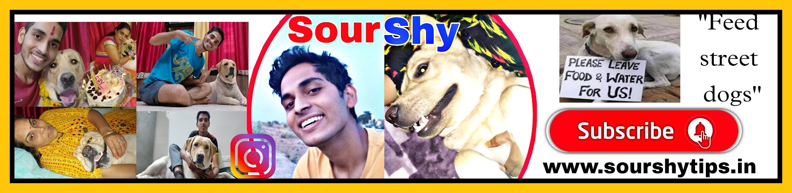  Dog Tips By SourShy |  Everything For Dogs | SourShy | Blogs