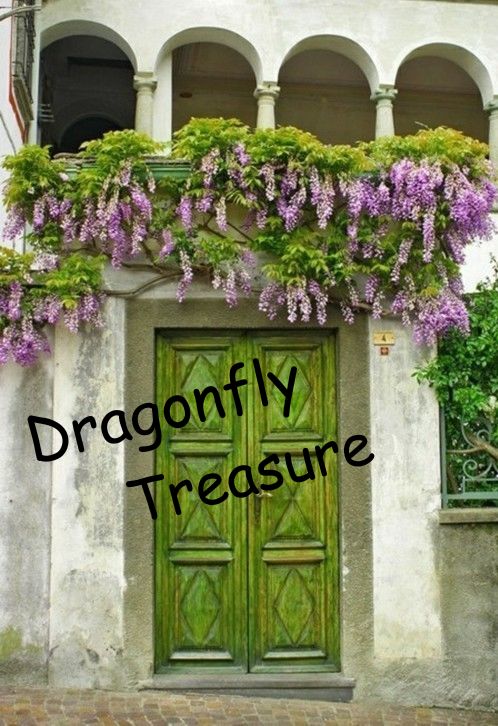 Dragonfly Treasure