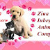 20 februarie: Ziua Iubește-ți Animalul de Companie