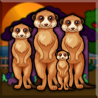 Grey Mongoose Family Escape