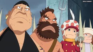 ワンピースアニメ ドレスローザ編 716話 小人族 Dwarves トンタッタ王国 Tontatta Kingdom | ONE PIECE Episode 716