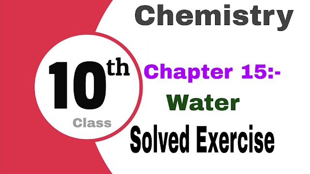 Class 10 Chemistry Chapter 15 Solved Exercise 