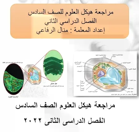 مراجعة هيكل العلوم الصف السادس الفصل الدراسى الثانى 2022