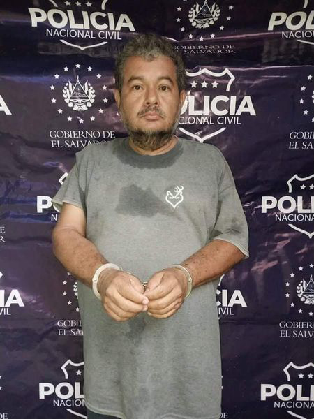 detenido por matar perrita