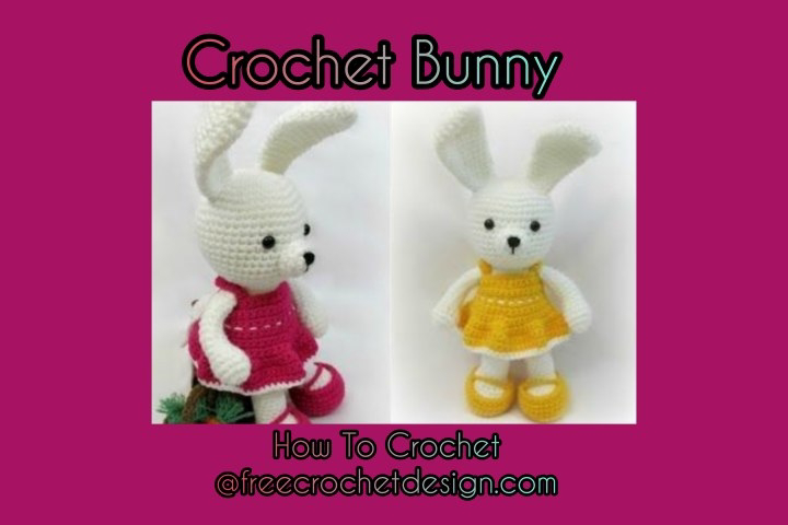 Crochet Amigurami Bunny Teddy Free Pattern