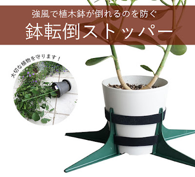 植物と植木鉢の強風対策　鉢転倒ストッパー