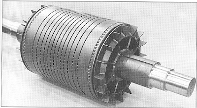 Squirrel cage rotor