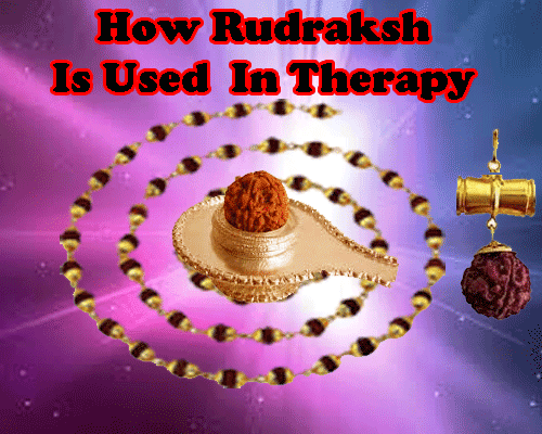 Rudraksha Therapy - Solutions of All problems