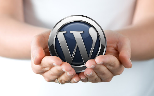 7 Reasons Why You Should Choose WordPress For The Site