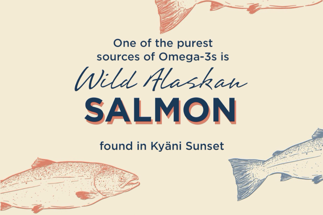 Carredex Kyani | Benefits of Wild Alaskan Salmon