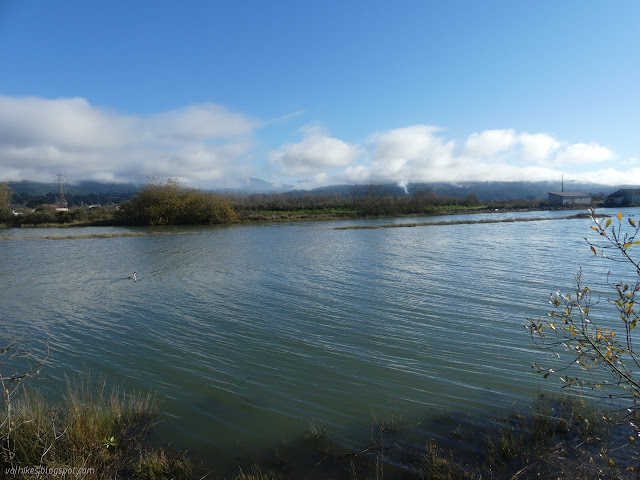 07: Butcher Slough with drowned grass near and cloudy mountain background