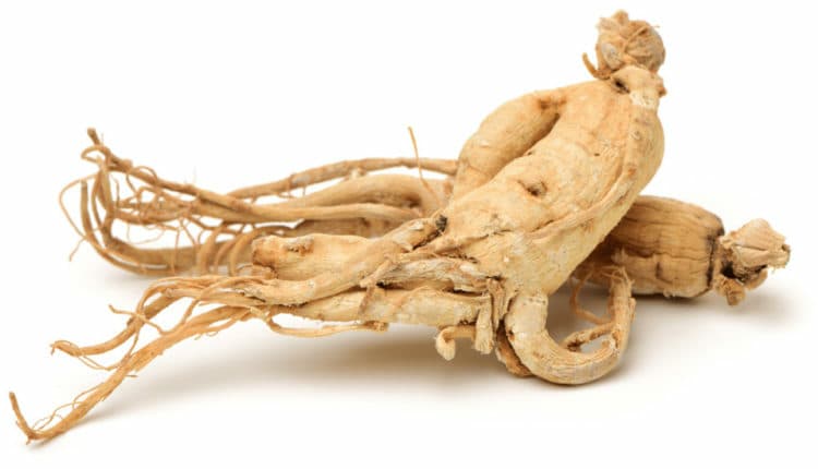 Ginseng