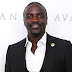 When we lie to government it is felony, when they lie to us it is politics - Akon