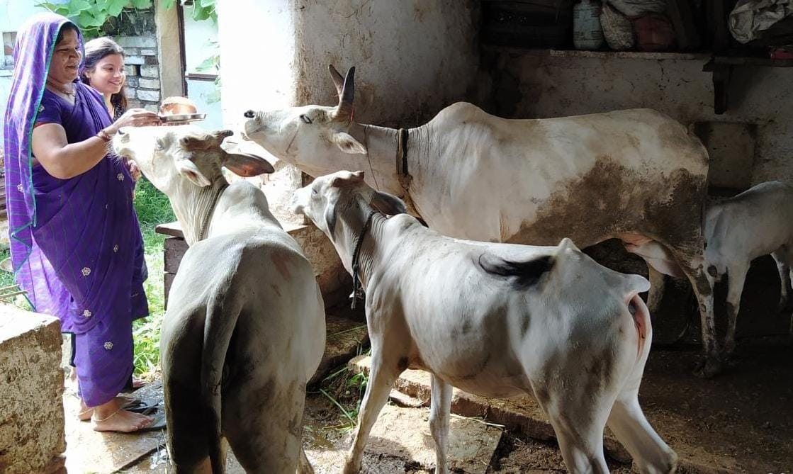 चित्र