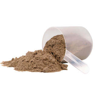 Grey Oyster Mushroom Powder