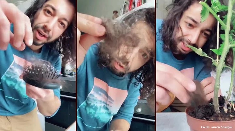 Man Reveals a Simple Trick to Revive Dying Plants 'Using His Own Hair'