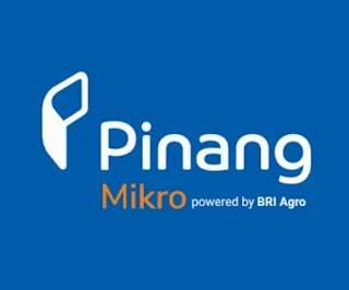 pinang mikro pinjaman online