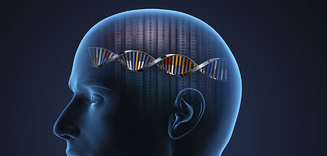La coscienza e il nostro DNA