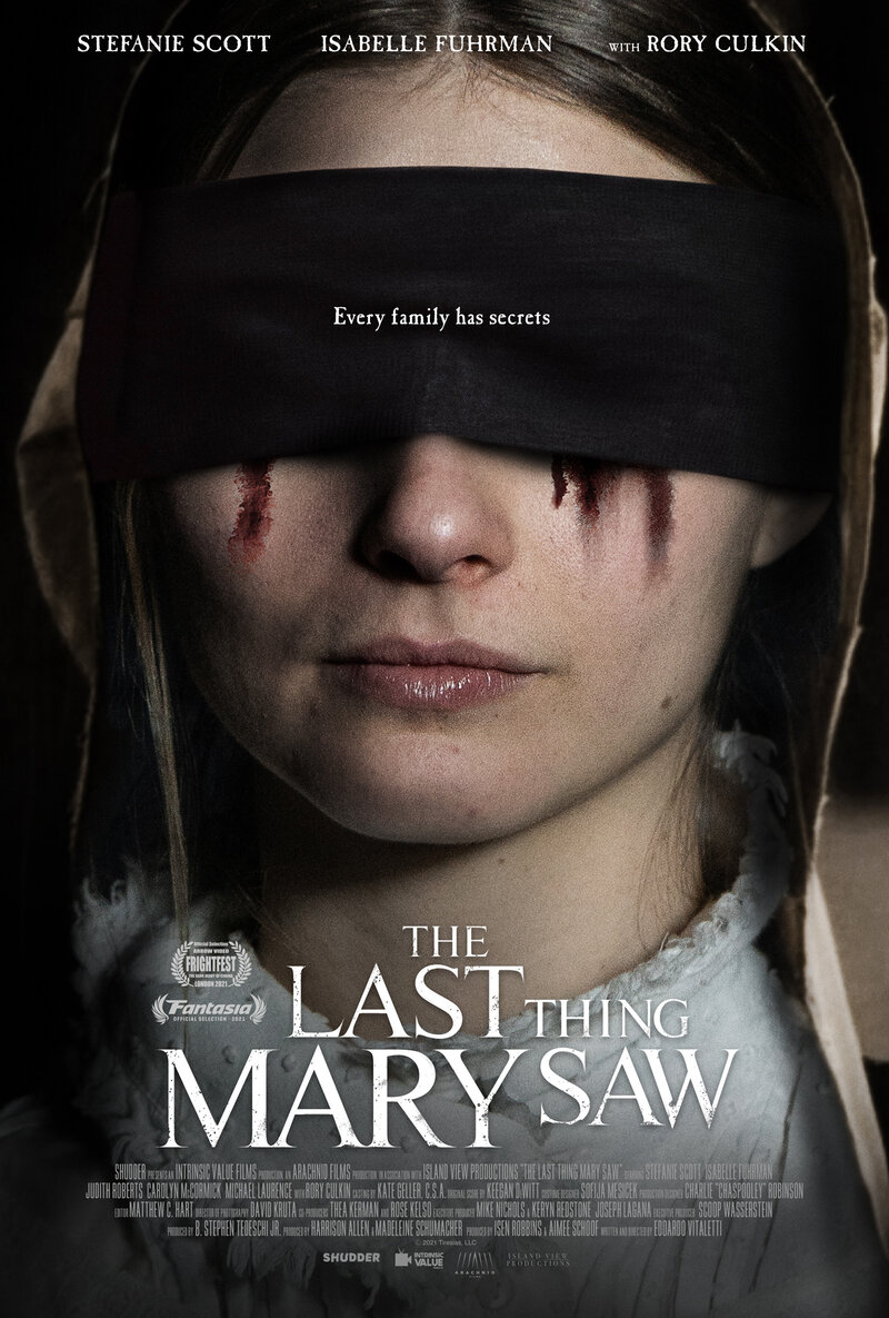 The Last Thing Mary Saw poster