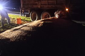 Derrame de cereal en Ruta 11: Bomberos trabajaron para liberar la calzada