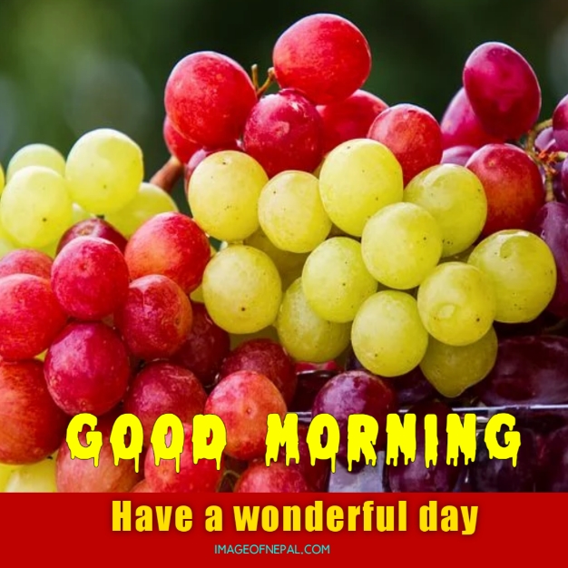 good morning fruits images