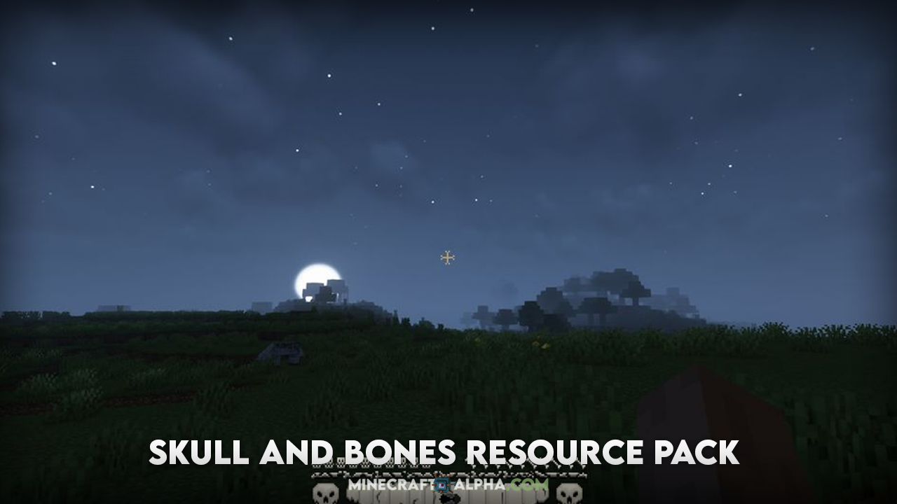 Skull and Bones Resource Pack 1.18