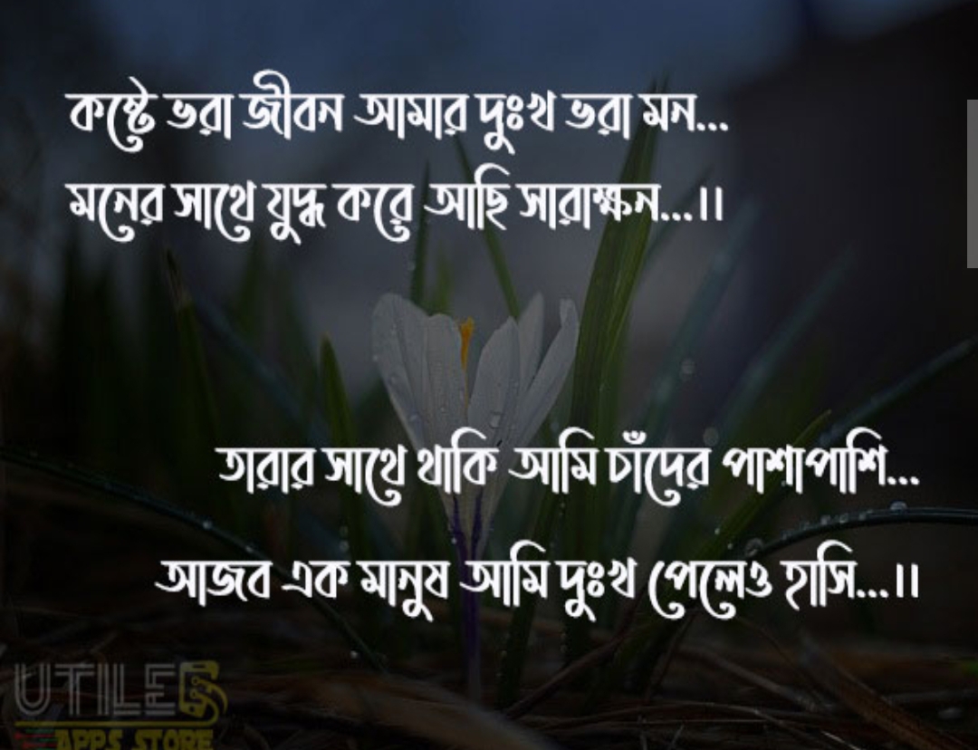 ভালোবাসা কি, ভালোবাসা নিয়ে কিছু কথা, ভালোবাসা নিয়ে উক্তি , ভালোবাসা দিবস কবে, ভালোবাসা কাকে বলে, ভালোবাসা দিবসের ইতিহাস, ভালোবাসা  নিয়ে কবিতা ।