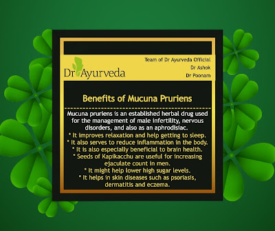 Benefits of  Mucuna pruriens