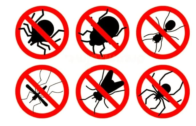 شركات مكافحة حشرات في الشارقة