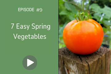 Season 1, Episode 9: 7 Easy Spring Vegetables