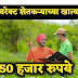  लवकरच शेतकऱ्यांच्या खात्यात 50 हजार रुपये जमा होणार ( Regular loan waiver grant ) - महा_ऍग्री