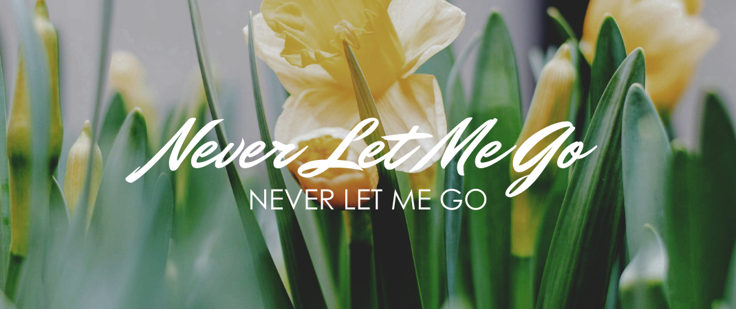 Never Let Me Go