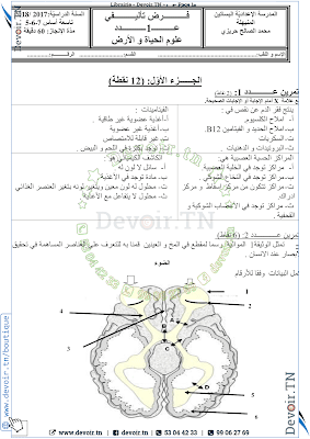 تحميل فرض تأليفي علوم الحياة و الأرض سنة تاسعة أساسي مع الاصلاح pdf 9svt سنة 9, تمارين علوم الحياة و الأرض svt تاسعة مع الإصلاح موقع مسار التميز 9ème