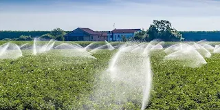 يعد تقديم مياه الري للمزروعات من أفضل العناصر الزراعية