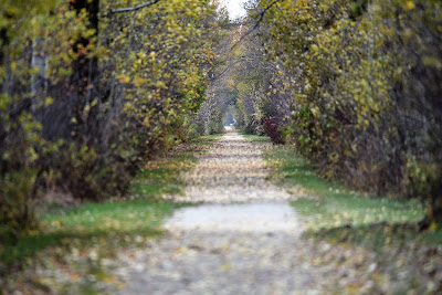 Le Grand Sentier Lyster Quebec.