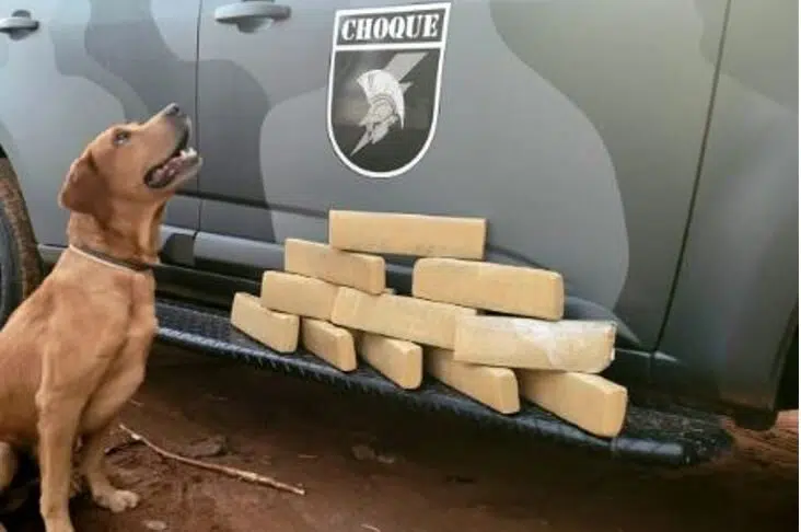  Homem e mulher saindo de Campo Grande com droga em malas para Pedreiras-MA 