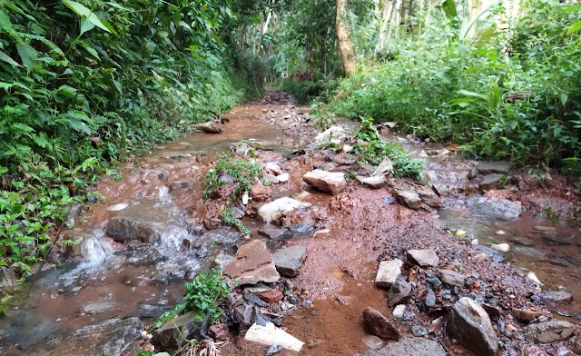 കനത്ത മഴയെ തുടര്‍ന്ന് റോഡ് ഒലിച്ച് പോയി. :-