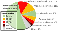 Epidemiology of Neuroblastoma