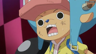 ワンピースアニメ WCI編 806話 チョッパー かわいい Tony Tony Chopper  | ONE PIECE Episode 806