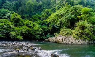 Tempat Mancing Kolam Pancing Terdekat Tempat Pemancingan Terdekat Tempat Mancing Terdekat Kolam Pancing Harian Terdekat Tempat Pemancingan Tempat Mancing Liar Terdekat Pemancingan Keluarga Terdekat Kolam Pemancingan Harian Terdekat Cara Mengetahui Tempat Ikan Nila Berkumpul Tempat Pancing Terdekat Mancing Di Danau Pemancingan Terdekat 24 Jam Tempat Pemancingan Keluarga Tempat Pemancingan Kiloan Terdekat Mancing Di Danau Toba Pemancingan Saung Desa Mancing Di Pantai Tempat Mancing Terdekat Dari Sini Pemancingan Lembah Gunung Kujang Tempat Mancing Keluarga Tempat Pemancingan Keluarga Terdekat Tempat Mancing Gratis Terdekat Pemancingan Pantai Indah Kapuk Kolam Pemancingan Ikan Mas Terdekat Tempat Ikan Mancing Lembah Gunung Kujang Pemancingan Penginapan Yang Bisa Mancing Mancing Danau Tempat Ikan Nila Berkumpul Tempat Memancing Ikan Kolam Pemancingan Kiloan Terdekat Tempat Ikan Lele Bersembunyi Tempat Pemancingan Terdekat Dari Sini Tempat Pancing Ikan Umpan Mancing Di Pantai Tempat Pemancingan Ikan Cara Mancing Di Danau Yang Dalam Pemancingan Gunung Kujang Mancing Di Danau Sunter Kolam Pemancingan Keluarga Mancing Di Pinggir Pantai Tempat Mancing Yang Bagus Memancing Di Danau Tiket Mancing Lembah Gunung Kujang Tempat Pemancingan Ikan Mas Terdekat Tempat Memancing Dekat Sini Tempat Menarik Untuk Memancing Mancing Pinggir Pantai Cara Mancing Ikan Besar Di Pinggir Pantai Harga Mancing Di Saung Desa Tempat Mancing Di Laut Tempat Mancing Gratis Sewa Pancing Terdekat Umpan Ikan Kerapu Pantai Cara Mancing Di Danau Tempat Kolam Pancing Terdekat Tempat Mancing Yang Banyak Ikannya Cara Mancing Di Pantai Mancing Danau Toba Terbaru Mancing Tepi Pantai Tempat Pemancingan Di Jababeka Umpan Ikan Pantai Tempat Mancing Udang Galah Mancing Casting Pinggir Pantai Umpan Ikan Pari Pantai Tempat Mancing Di Bsd