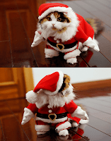 Disfraces de gatos para Navidad